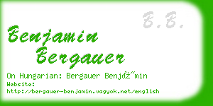 benjamin bergauer business card